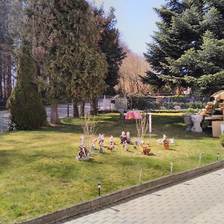 Ferienwohnung Heidi 泽尔布 外观 照片