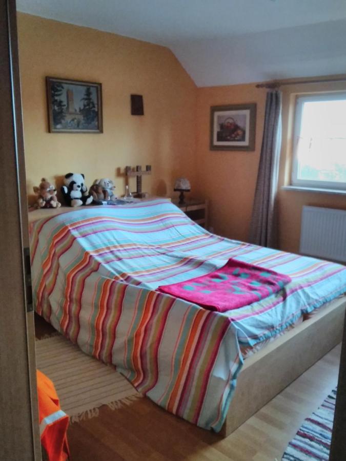 Ferienwohnung Heidi 泽尔布 外观 照片