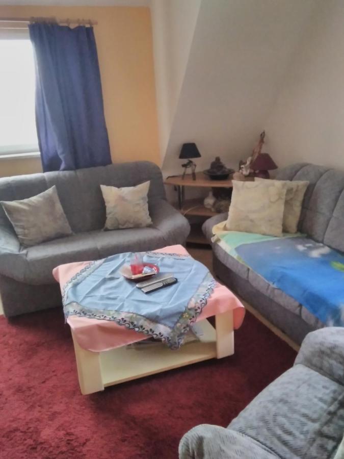 Ferienwohnung Heidi 泽尔布 外观 照片