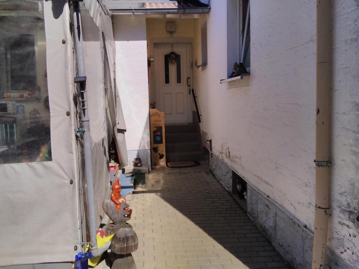 Ferienwohnung Heidi 泽尔布 外观 照片